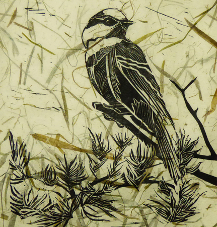 Canada Jay