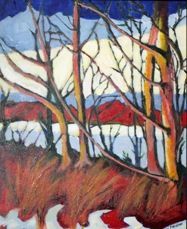 Wild Red Aspens